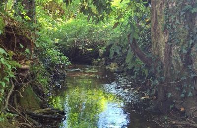 Manoir à vendre Galice, Image 35/48