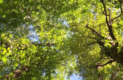 Manoir à vendre Galice, Image 38/48