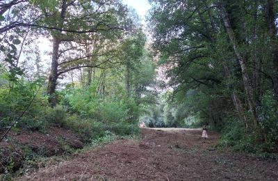 Manoir à vendre Galice, Image 47/48