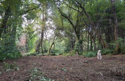 Manoir à vendre Galice, Image 48/48