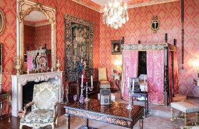 Château à vendre Forcalquier, Provence-Alpes-Côte d'Azur, Image 7/10