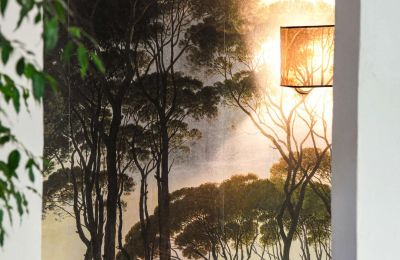 Propriété historique à vendre Uzès, Occitanie, Image 25/46