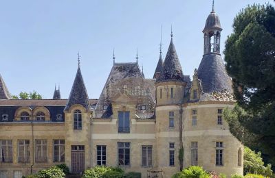 Château à vendre Mirande, Occitanie, Image 2/26