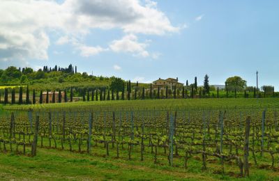 Maison de campagne à vendre Sarteano, Toscane, Image 49/50