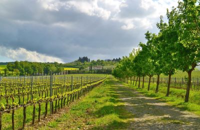 Maison de campagne à vendre Sarteano, Toscane, Image 46/50