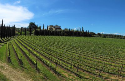 Maison de campagne à vendre Sarteano, Toscane, Image 48/50