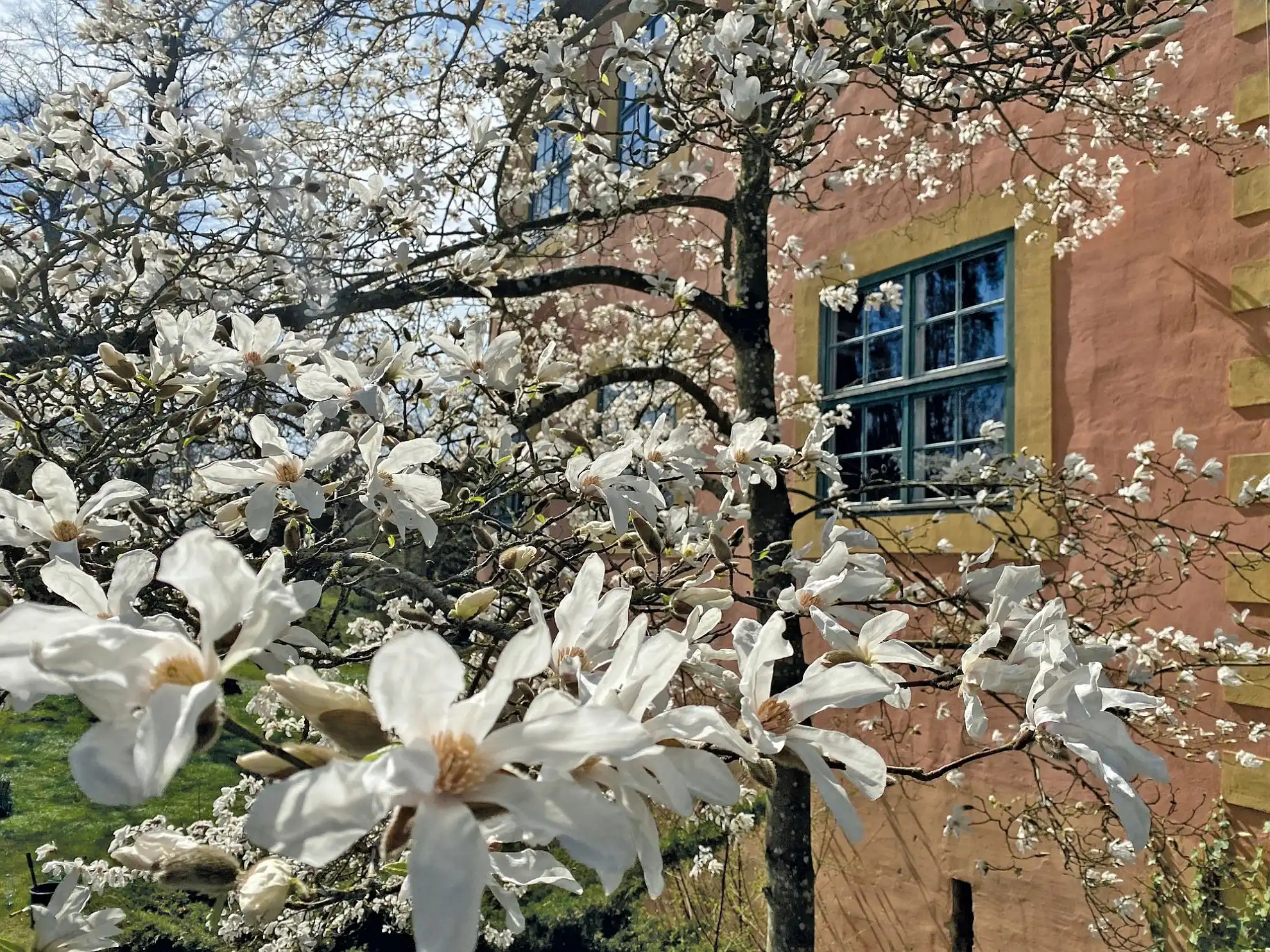 Photos Château à douves de Turow