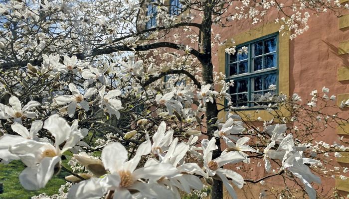 Château médiéval à vendre Mecklembourg-Poméranie-Occidentale