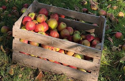 Château médiéval à vendre Mecklembourg-Poméranie-Occidentale, Image 78/96