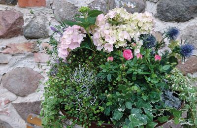 Château médiéval à vendre Mecklembourg-Poméranie-Occidentale, Image 53/96