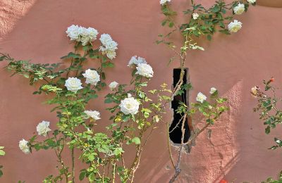 Château médiéval à vendre Mecklembourg-Poméranie-Occidentale, Image 45/96