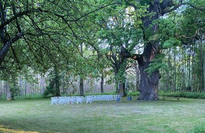 Château médiéval à vendre Mecklembourg-Poméranie-Occidentale, Image 68/96
