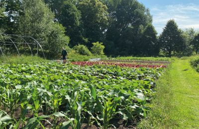 Château médiéval à vendre Mecklembourg-Poméranie-Occidentale, Image 62/96
