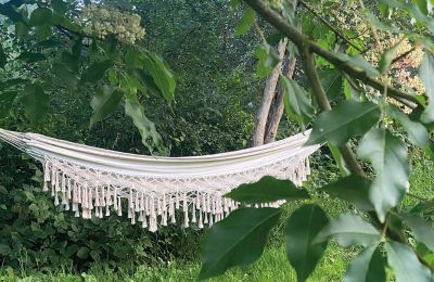 Château médiéval à vendre Mecklembourg-Poméranie-Occidentale, Image 70/96