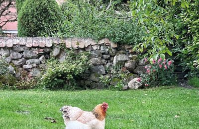 Château médiéval à vendre Mecklembourg-Poméranie-Occidentale, Image 75/96