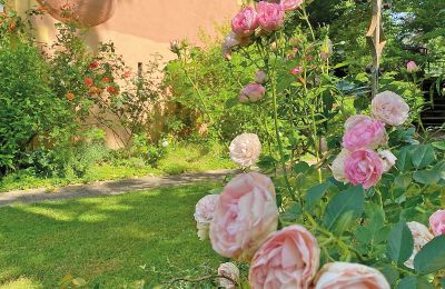 Château médiéval à vendre Mecklembourg-Poméranie-Occidentale, Image 46/96