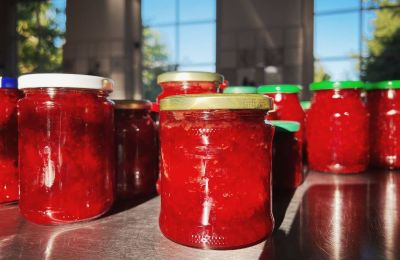 Château médiéval à vendre Mecklembourg-Poméranie-Occidentale, Image 63/96