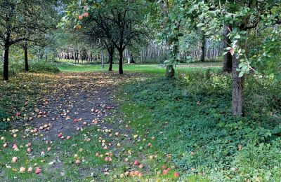 Château médiéval à vendre Mecklembourg-Poméranie-Occidentale, Image 69/96