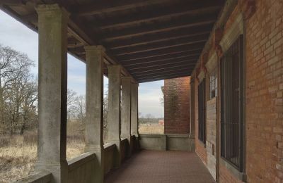 Manoir à vendre Bolkowice, Dwór w Bolkowicach, Poméranie occidentale, Terrasse