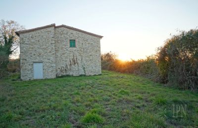 Lantgård till salu Italien, Bild 14/26