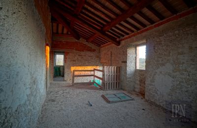 Lantgård till salu Italien, Bild 24/26