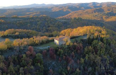 Lantgård till salu Italien, Bild 5/26