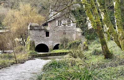 Moulin à vendre Tanus, Occitanie, Image 35/36