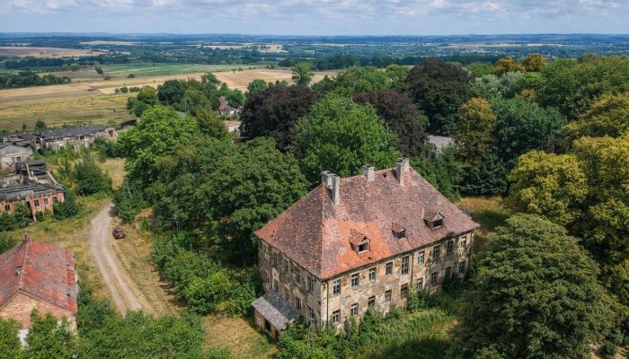 Château à vendre Kostrzyna, Basse-Silésie