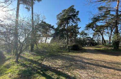 Maison de campagne à vendre 17375 Leopoldshagen, Mecklembourg-Poméranie-Occidentale, Blick in die Einfahrt