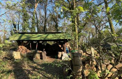 Maison de campagne à vendre 17375 Leopoldshagen, Mecklembourg-Poméranie-Occidentale, Brennholzlager