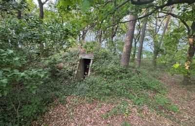 Maison de campagne à vendre 17375 Leopoldshagen, Mecklembourg-Poméranie-Occidentale, Erdbunker