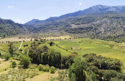 Manoir à vendre Escorca, Îles Baléares, finca-escorca-39