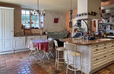 Manoir à vendre Sauveterre-de-Béarn, Nouvelle-Aquitaine, Cuisine