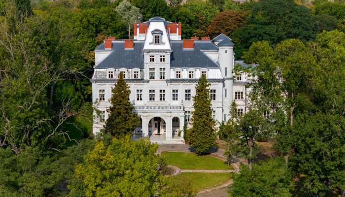 Château à vendre Malina , Łódź