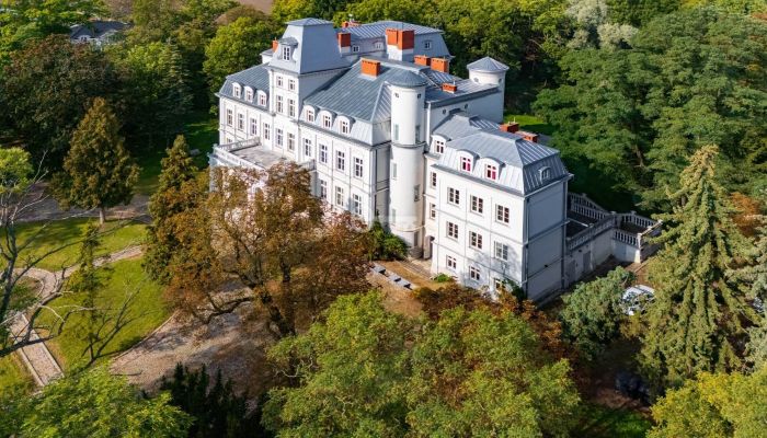 Château à vendre Malina, Łódź