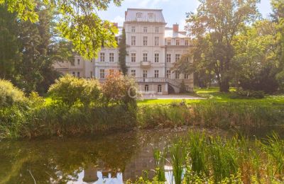 Château à vendre Malina, Pałac Malina, Łódź, Image 26/28