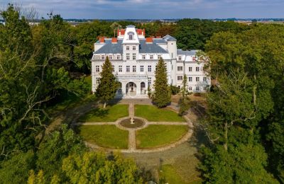 Château à vendre Malina, Pałac Malina, Łódź, Image 2/28