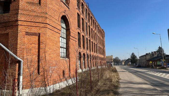  Piotrków Trybunalski  3