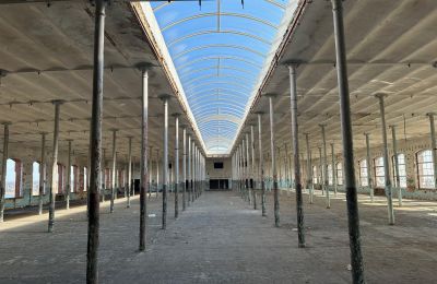 Propriété historique à vendre Piotrków Trybunalski , Łódź, Image 4/13