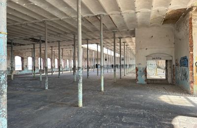 Propriété historique à vendre Piotrków Trybunalski , Łódź, Image 5/13