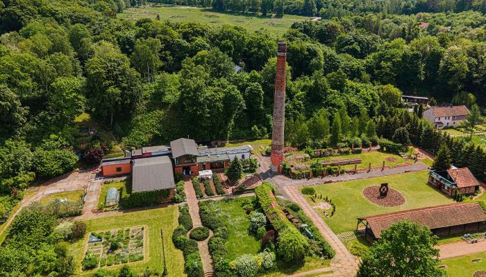  Elbląg 2