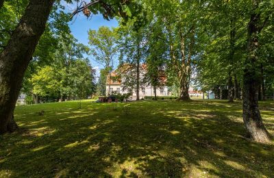 Château à vendre Marzewo, Varmie-Mazurie, Parc