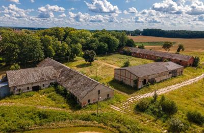 Château à vendre Marzewo, Varmie-Mazurie, Image 16/18