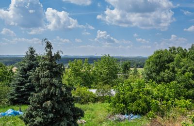 Herrgård till salu Bosowice, Bosowice 80, województwo świętokrzyskie, Bild 7/25