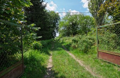 Herrgård till salu Bosowice, Bosowice 80, województwo świętokrzyskie, Bild 6/25