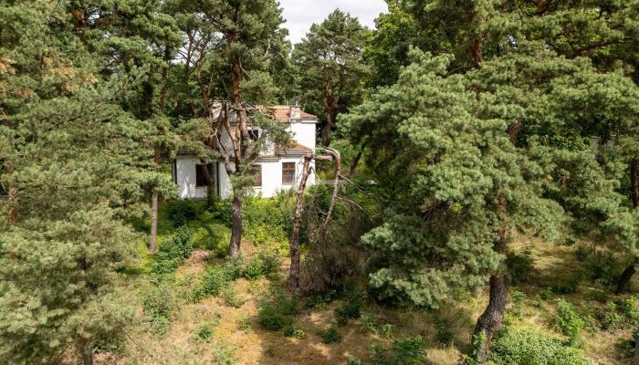  Konstancin-Jeziorna 4