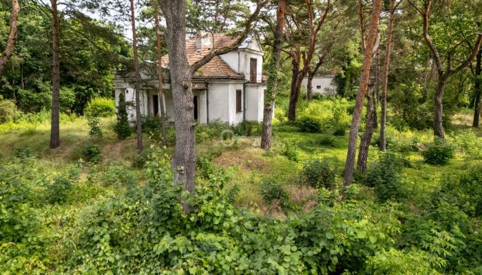  Konstancin-Jeziorna 5