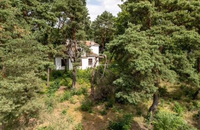 Historisk villa till salu Konstancin-Jeziorna, województwo mazowieckie, Bild 4/9