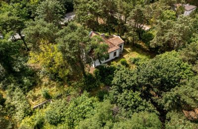 Historisk villa till salu Konstancin-Jeziorna, województwo mazowieckie, Bild 6/9