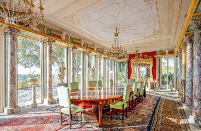 Propriétés historiques, Demeure avec galerie d’art, fresques et 25 hectares de forêt